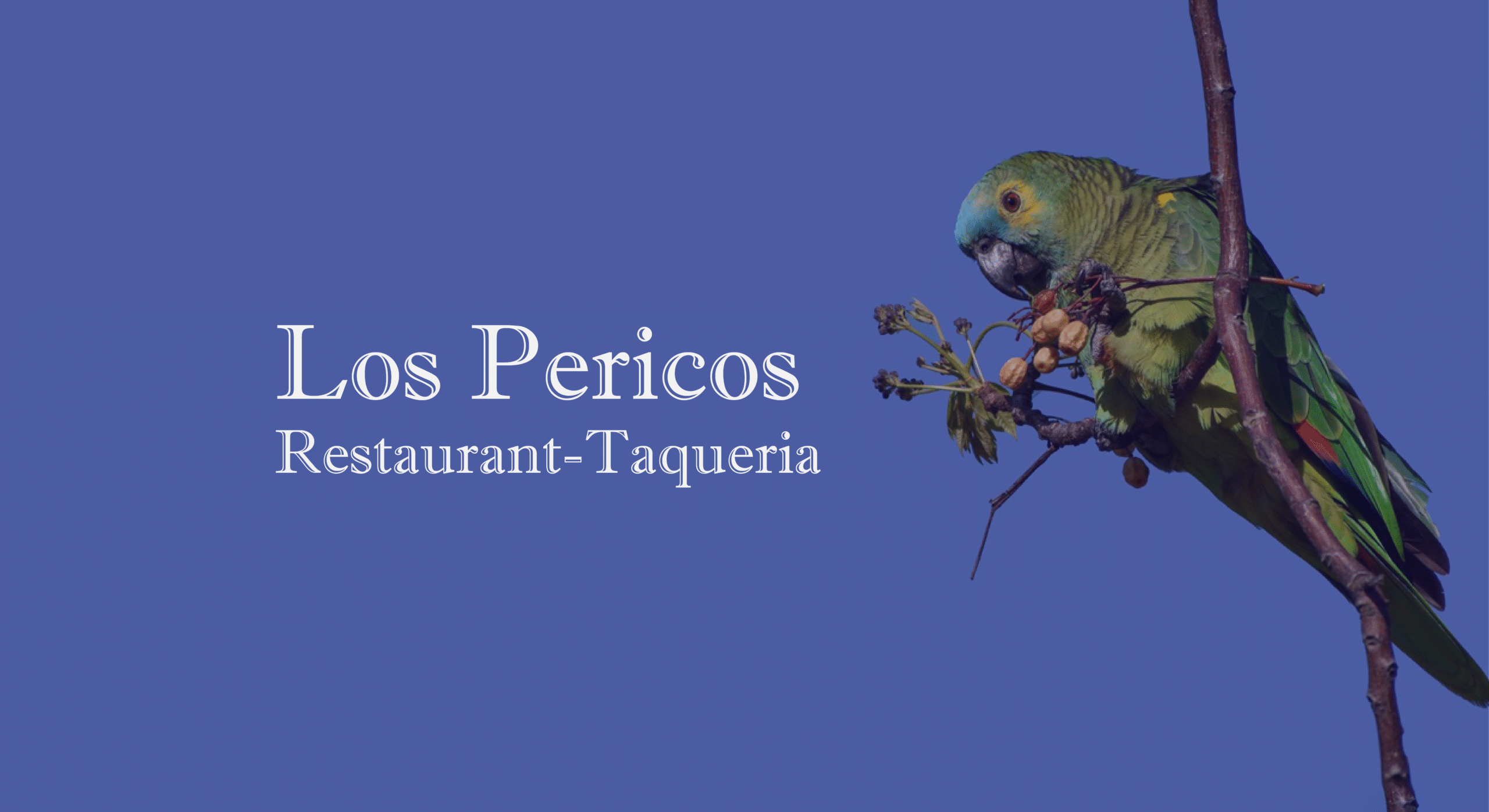 Los Pericos Taqueria_Portada