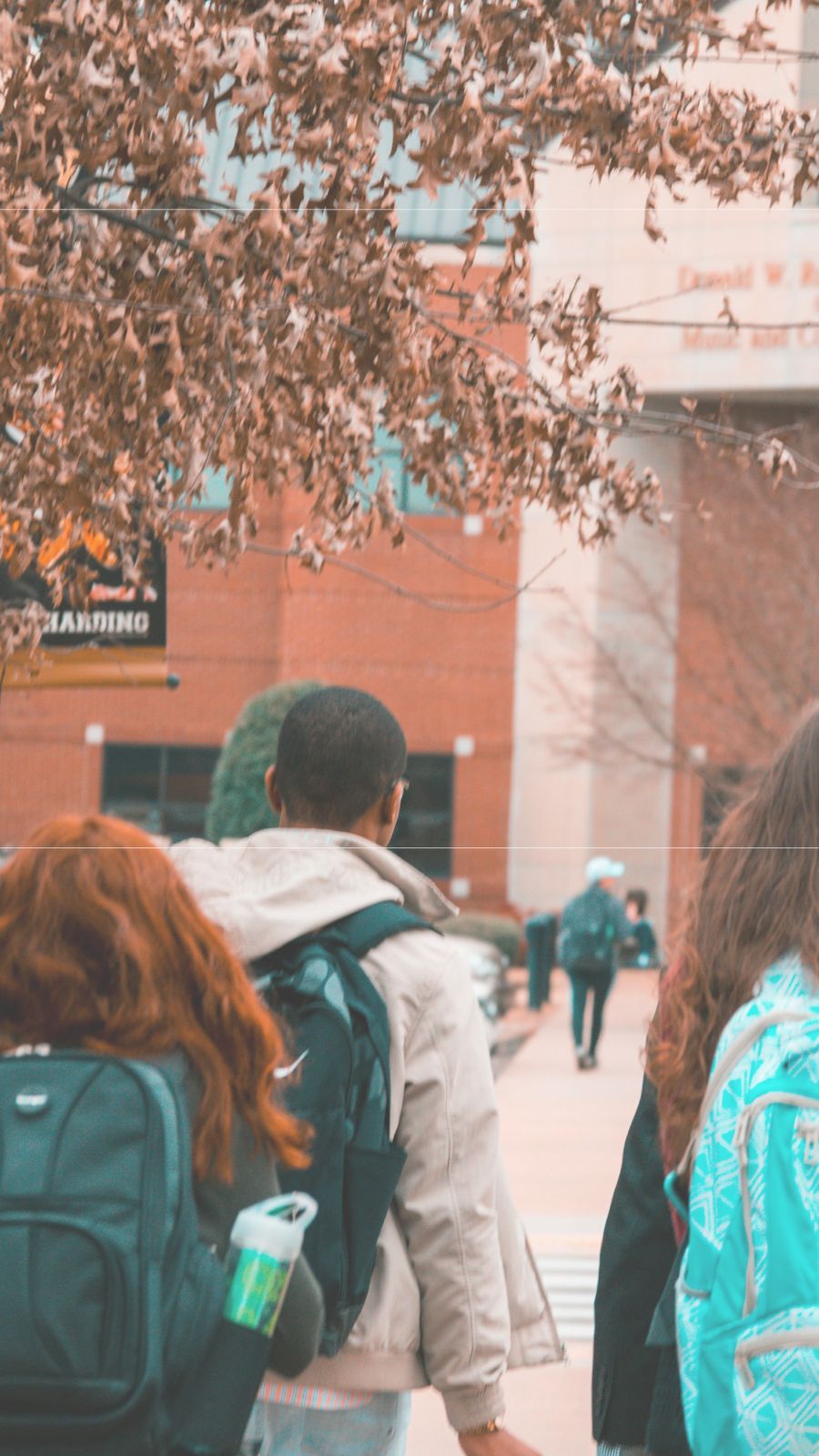 WhatsApp Image 2025-07-11 at 23.20.26