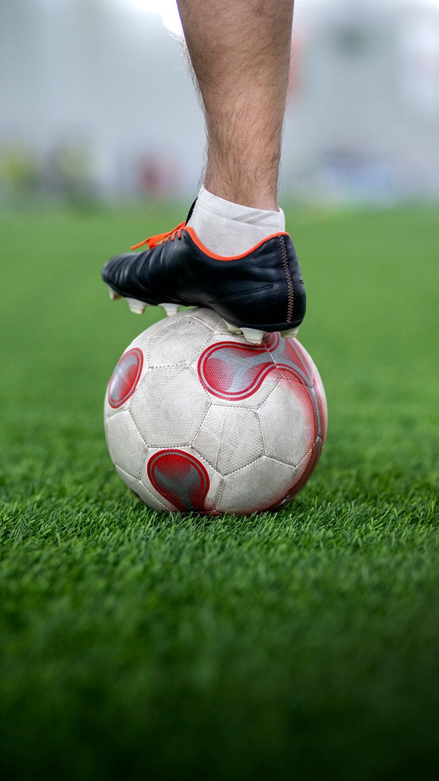 WhatsApp Image 2025-07-11 at 23.44.31-2